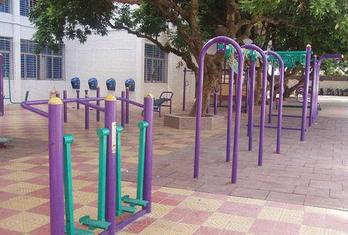 全民健身新風尚 室外健身器材的多元價值與使用指南